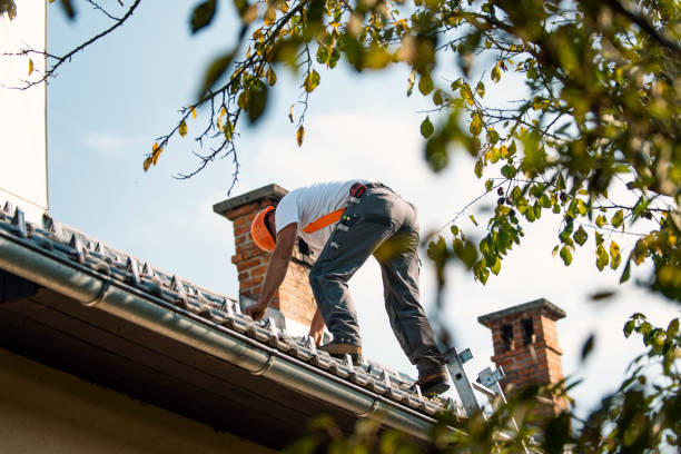Quick and Trustworthy Emergency Roof Repair Services in Diamond Ridge, AK