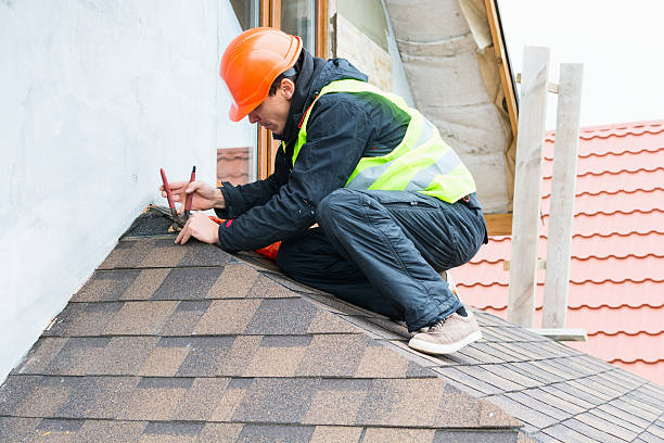 Best Roof Maintenance Services  in Diamond Ridge, AK